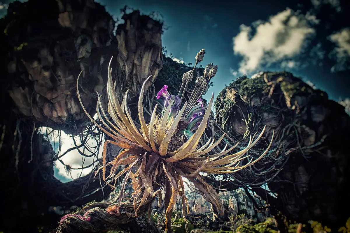Floating rocks and plants in Pandora at Animal Kingdom